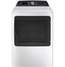 GE:PTD70GBSTWS